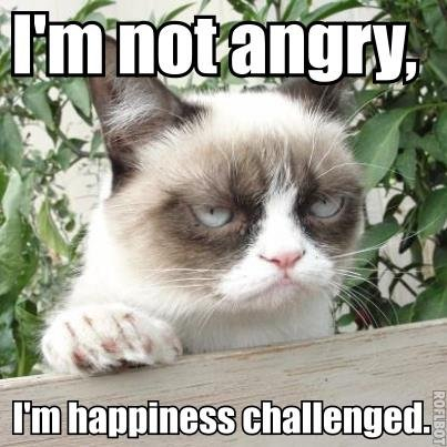 grumpy cat16