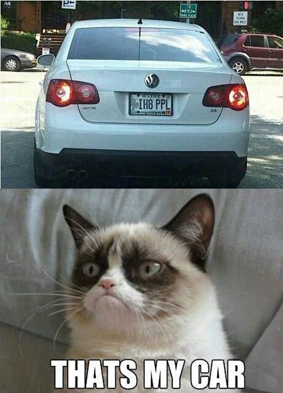 grumpy cat15.jpg